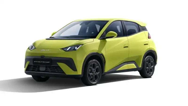 JBO竞博 Dolphin Surf